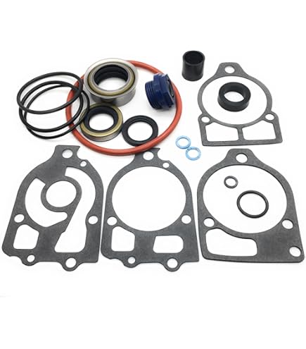 Amazon.com: Sierra, Lower Unit Seal Kit, 18-8363 : Automotive